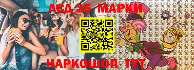 гашик Моздок