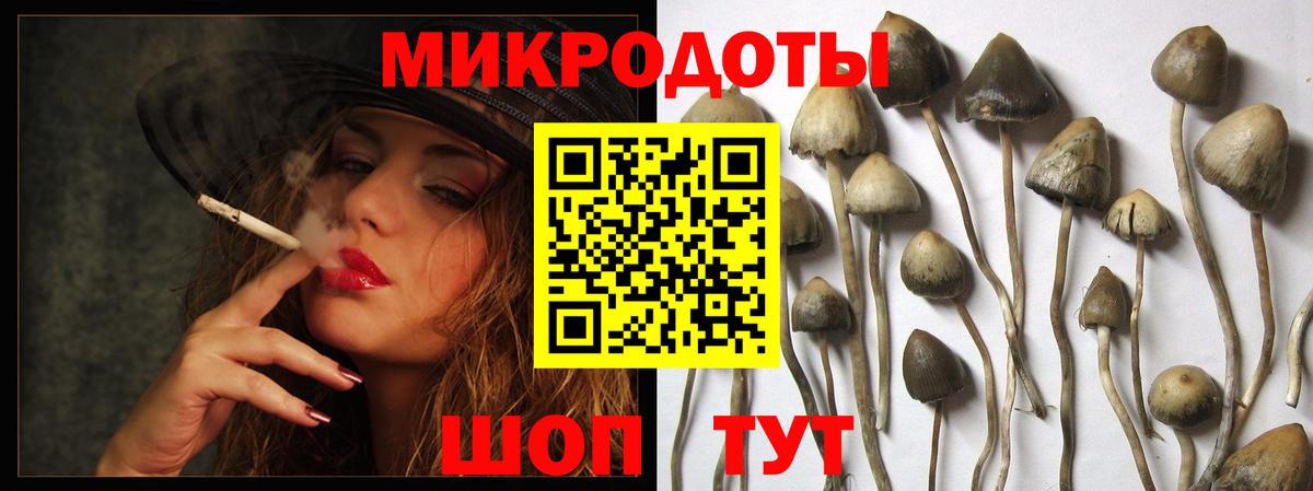 Галлюциногенные грибы прущие грибы Феодосия
